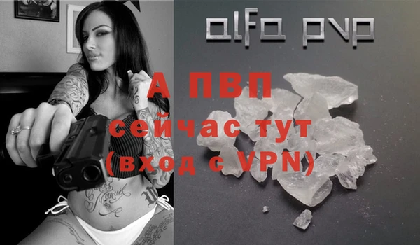 apvp Корсаков
