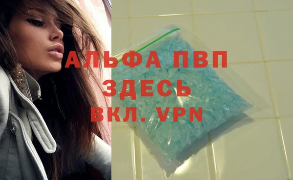 apvp Корсаков