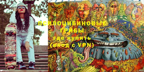 apvp Корсаков