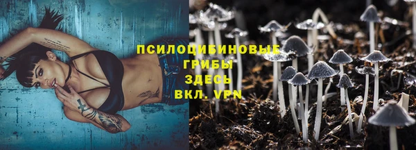 а пвп мука Костерёво