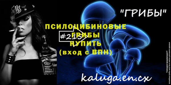apvp Корсаков